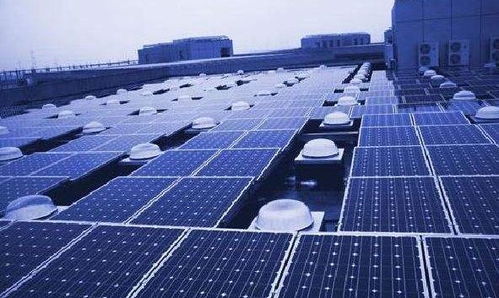 柳市之光 从浙江小镇走出的科技先锋，如何用网络技术重塑全球生活